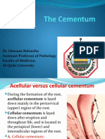 8. the Cementum