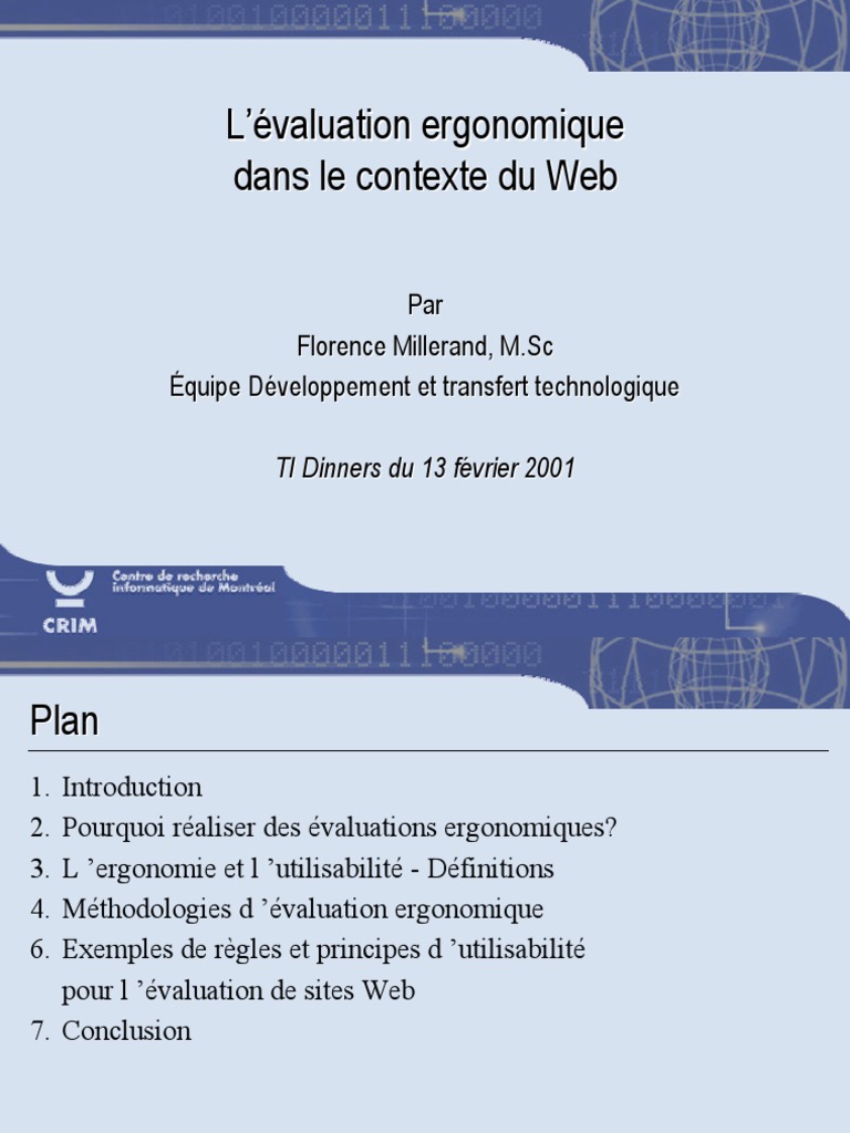 Guide Pratique D Evaluation de Site Web | PDF