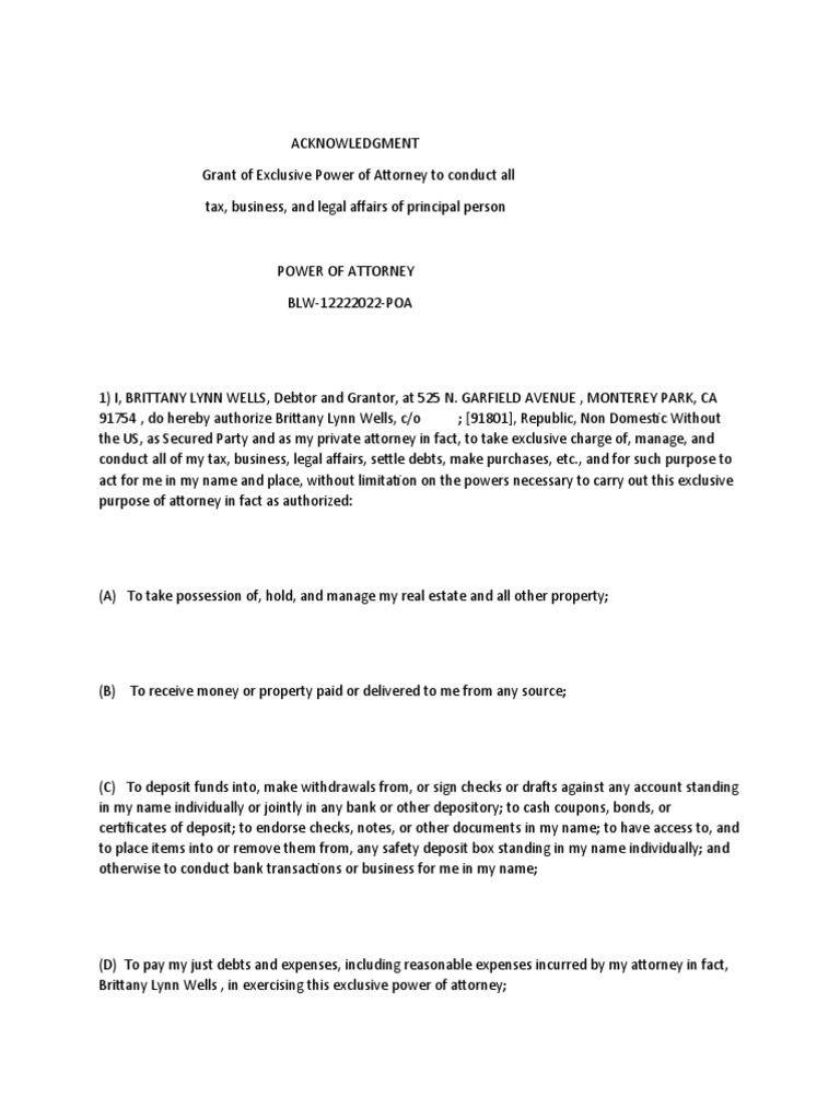 Power of Attorney InFact PDF