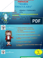 Diapositivas Ciencia y Tecnología - 6° Primaria