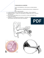 Guia para Anatomía y Fisiología de La Audición