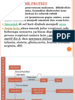 KATABOLISME Protein Lemak