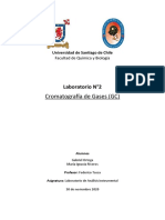 Informe Cromatografía de Gases (GC) - Gabriel Ortega - M° Ignacia Riveros.