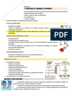 3 - Función Testicular - 220904 - 162040