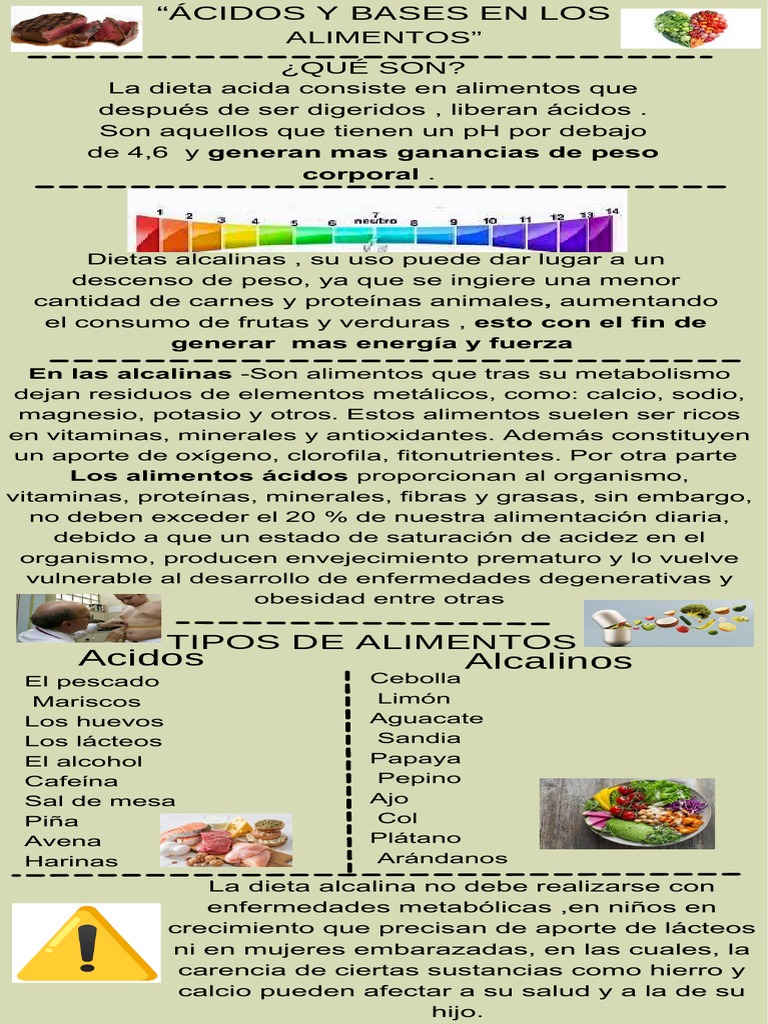 Ácidos y Bases en Alimentos: Guía Esencial | PDF