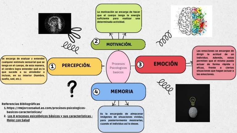 Procesos Psicológicos Básicos | PDF | Las emociones | Motivacional