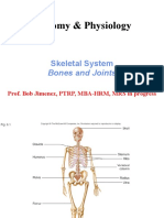 Anatomy Chapter 6 Skeletal System Bones and Joints