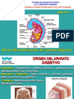 Clase N°11 Aparato Digestivo