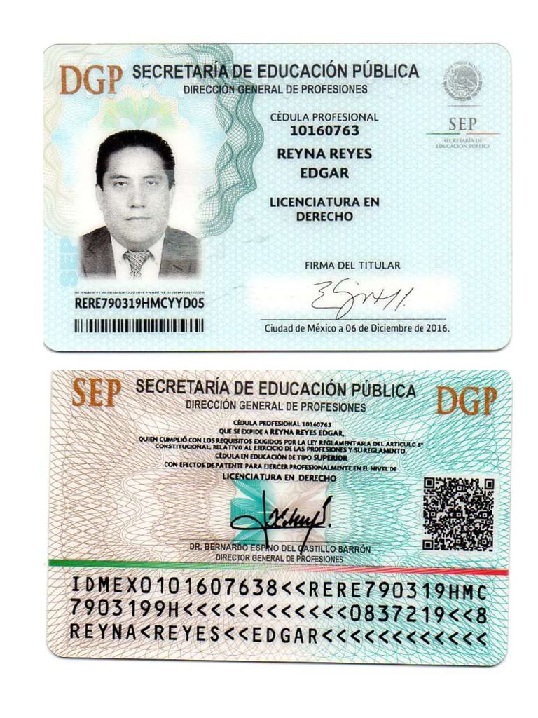C dula profesional pdf