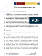 6.-ESQUEMA-DE-PRESENTACION-DE-PROYECTO-DE-INVESTIGACION-CUANTITATIVA_EPG_UNAP_Luis (1)