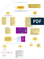 Fisiopatológica de La Inmunidad