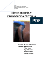 Histeroscopía y Vaginoscopía en Yegua