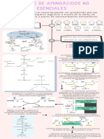 Síntesis de Aminoácidos No Esenciales