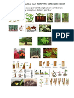 Perkembangbiakan Dan Adaptasi Makhluk Hidup