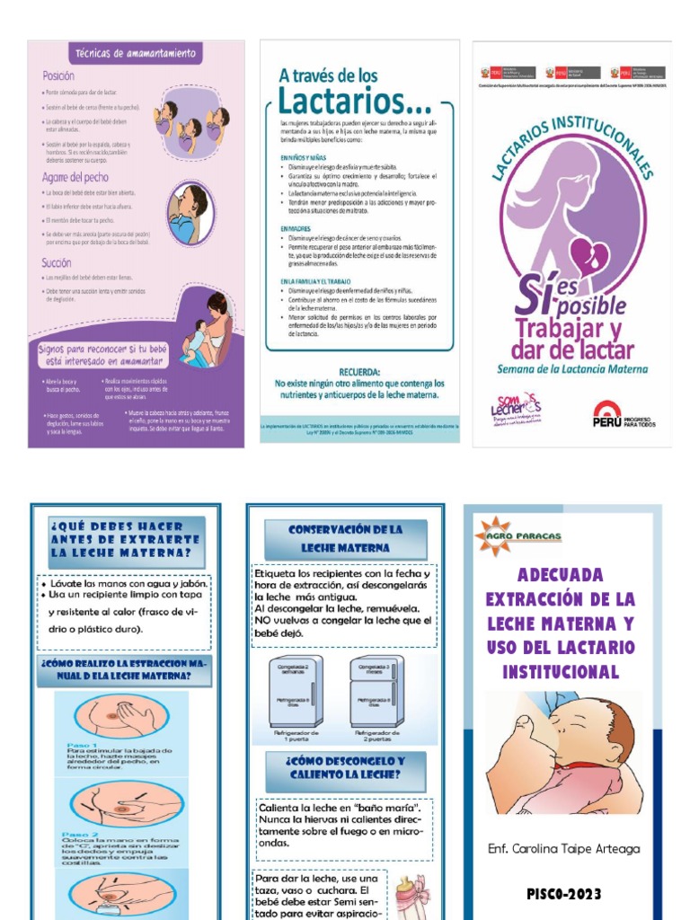 Adecuada Extracción de Leche y Uso de Lactario Institucional | PDF