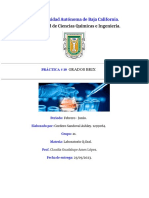 Reporte Práctica # 10 Grados Brix Quimica General