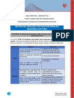 Matriz de Análisis Lector - Segunda Lectura