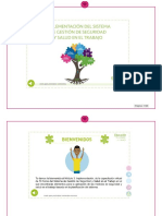 Memoria-Módulo 3 - Implementación Del Sistema de Gestión de Seguridad y Salud en El Trabajo