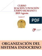 Sesion 17 - Organizacion Del Sistema Endocrino