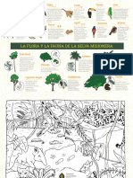 La Flor y La Fauna de La Selva Misionera - Fundacion Agroecologica - Iguazu