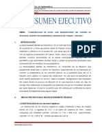 Resumen Ejecutivo Biodigestores - 1