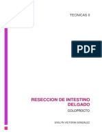 Reseccion de Intestino Delgado