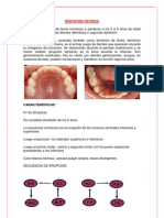 Dentición Decidua