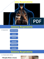 Fisiologia Sistema Respiratorio