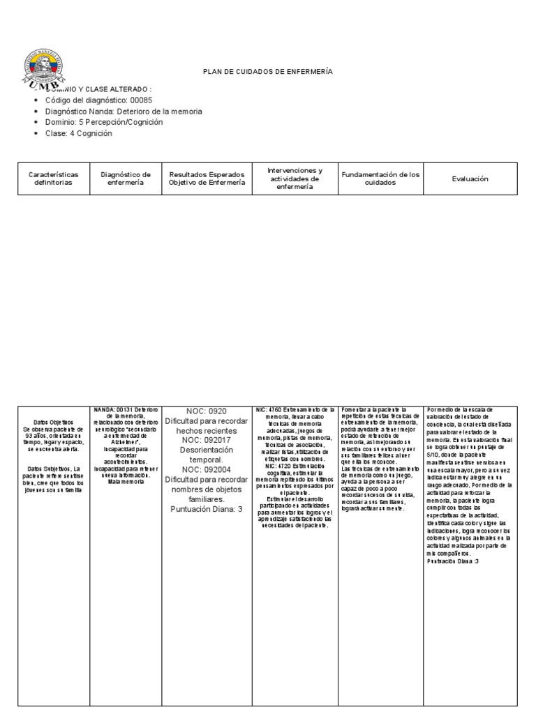 Formato Plan de Cuidados | PDF | Memoria | Enfermedad de Alzheimer