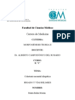 Genesis T-Colestasis Neonatal EXAMEN