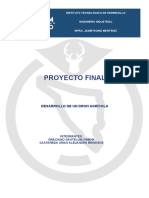 Desarrollo Proyecto