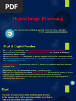 Chapter 4brev - Digital Image Processing