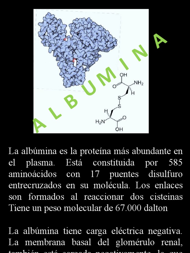 Composición y funciones de la albúmina | PDF