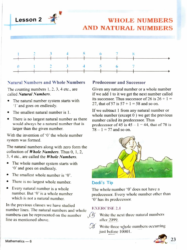 Maths Chap 2, Whole & Natural Numbers | PDF