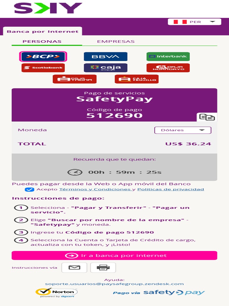 Instrucciones de Pago con SafetyPay | PDF