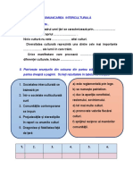 Comunicarea Interculturala