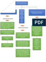 Mapa Conceptual