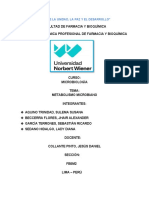 Informe 6 - Metabolismo Microbiano