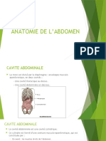 Anatomie Abdomen