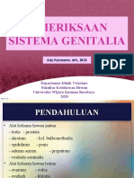 Pemeriksaan Sistem Genitalia