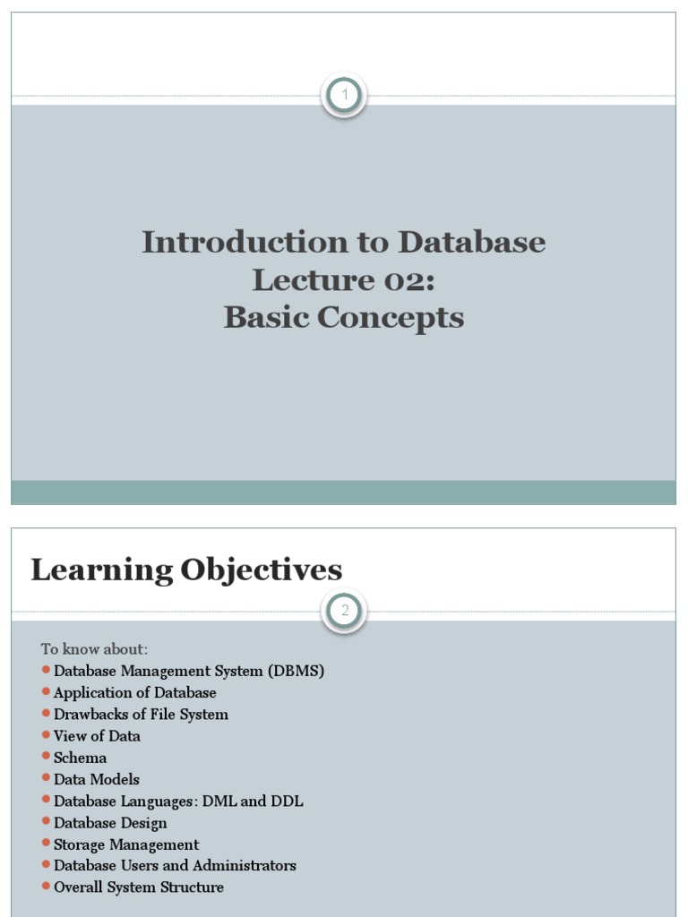 Lecture02 BasicConcepts | PDF | Databases | Data Model