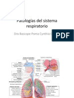 Patologías Del Sistema Respiratorio