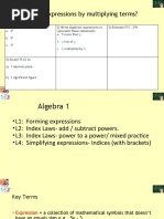 Year 8 Indices