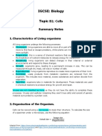 B1 Cells (Summary Notes)