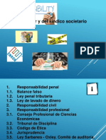 2020AudCap17ResponsabilidaddelAuditor y Del Síndico Societario - Diapositivas