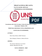 Universidad Nacional Del Santa: Facultad de Ciencias Escuela Profesional de Enfermería