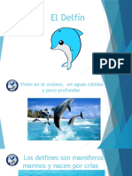 El Delfín PT Informativo