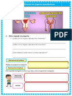 FICHA CYT Identificamos Los Órganos Reproductores