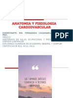 Anatomia Cardiovascular 1 PDF