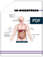 Biologia Sistema Digestório